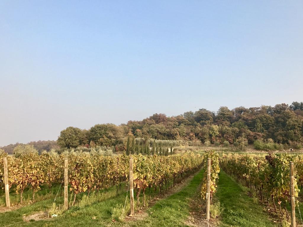Séjour à la ferme Sambuco Pastrengo